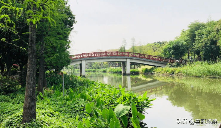 荔湾区在广州的什么位置(荔湾区面积多大)