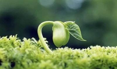 ​每个人能练习的彭祖长寿身体调养术——四种调摄法和乐趣养身