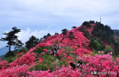 ​黄冈旅游景点有哪些（湖北黄冈著名好玩的地方排行榜前十名）