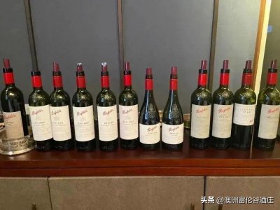 ​奔富红酒是哪个国家的品牌（奔富红酒属于什么档次）