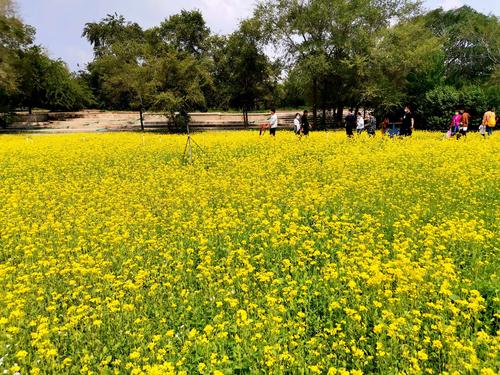 4、抚顺市北陵国家森林公园（北陵）