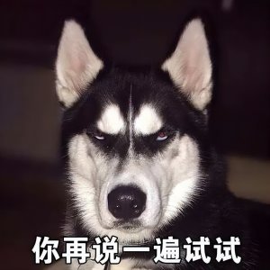 ​哈士奇知道自己这么“二”吗？这些图片，真的笑喷了