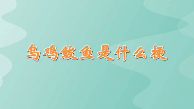 ​乌鸡鲅鱼原义 乌鸡鲅鱼你们知道是什么意思吗