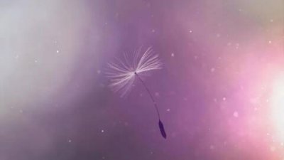 ​过年祝福信息怎么发，春节祝福短信简短