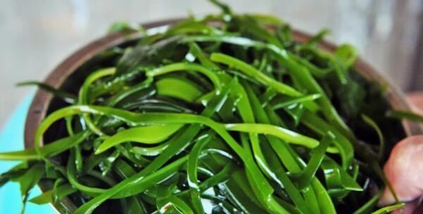 海带怎么炒好吃又简单,海带怎么炒好吃又简单又减肥图8