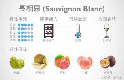 ​团购白葡萄酒 白葡萄酒怎么喝