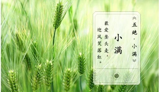 小满吃什么，小满吃饺子什么意思？图2