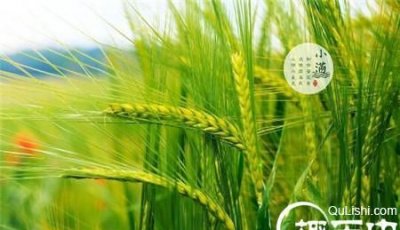 ​小满吃什么，小满吃饺子什么意思？