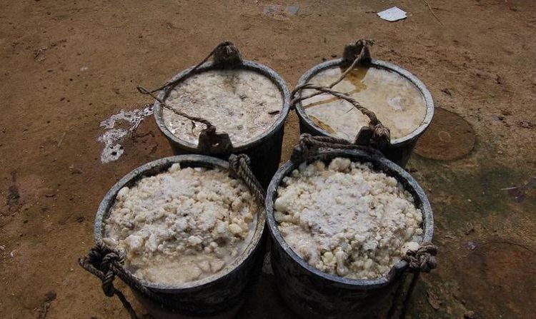 一大滴松脂滴下来，正好包住了一只苍蝇和一只蜘蛛改成被字句怎么改