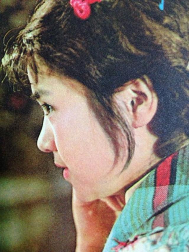 鲍国平扮演者名单（第一个在平凡的世界中扮演田晓霞）(7)