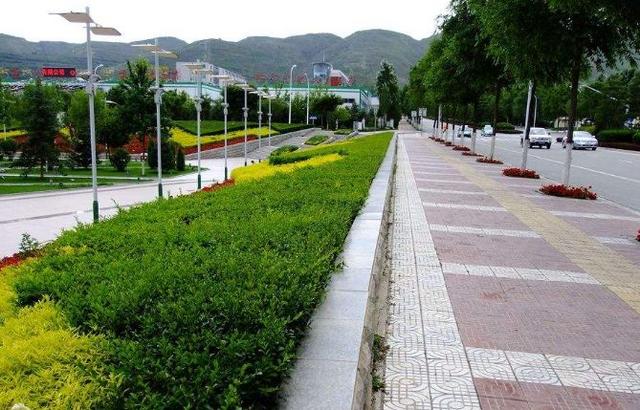 西宁城中区住房出租（西宁四区三县最新租房价格）(11)