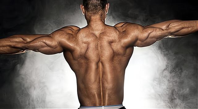 为什么牛吃草却还能长一身肌肉（为什么牛光是吃草）(1)