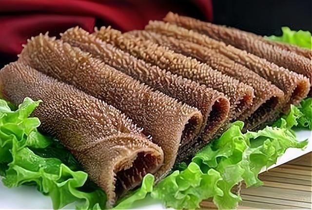 为什么牛吃草却还能长一身肌肉（为什么牛光是吃草）(4)