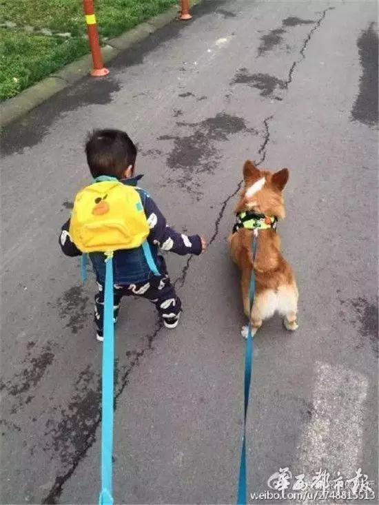 烤1000斤牛（从烤活牛到烤活人）(4)