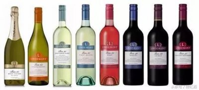 ​BIN系列红酒(奔富红酒bin系列介绍)