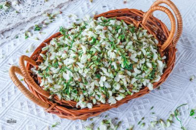 ​槐花怎么晒干保存(槐花可以直接晒干吗)