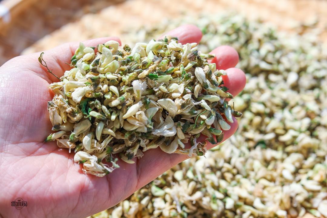 槐花怎么晒干保存(槐花可以直接晒干吗)