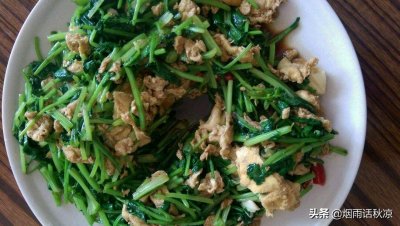 ​炒香菜的做法大全