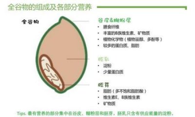 ​糙米和大米的营养一样吗(粳米糙米跟大米的区别)