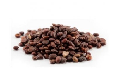 ​酸枣仁泡水喝竟有那么多功效！