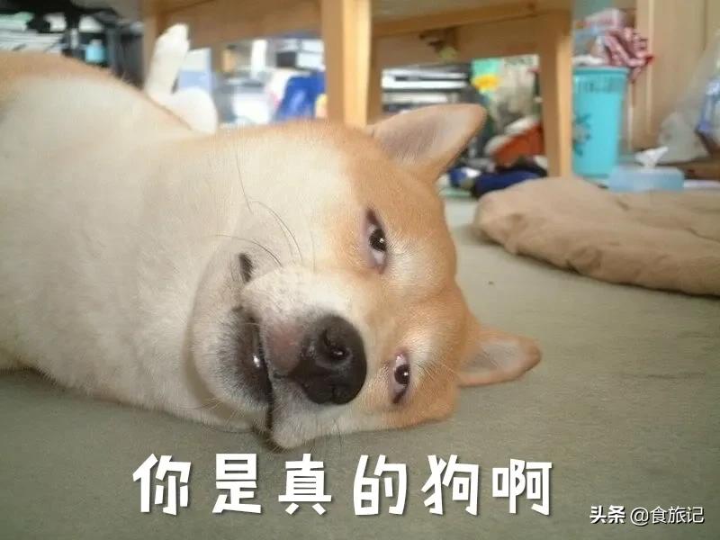 羊蝎子是羊身上的什么部位(羊蝎子是什么肉好吃吗)(图3) 羊蝎子是羊身上的什么部位(羊蝎子是什么肉好吃吗)(图3)