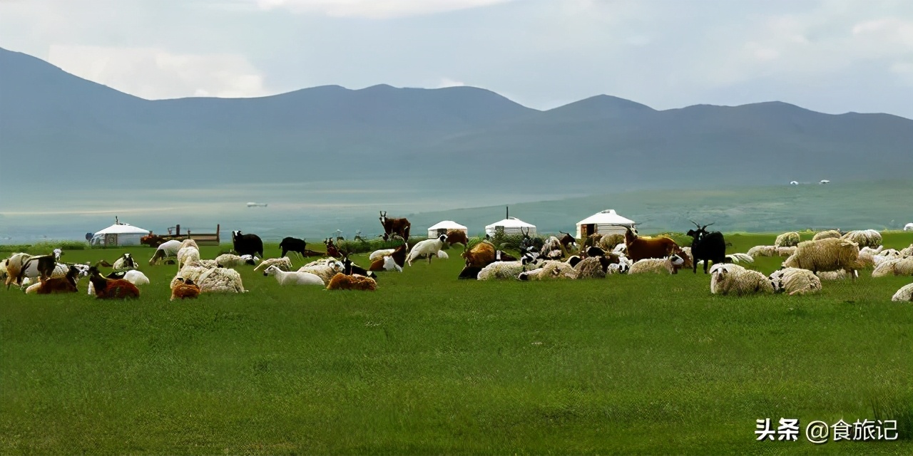 羊蝎子是羊身上的什么部位(羊蝎子是什么肉好吃吗)(图12) 羊蝎子是羊身上的什么部位(羊蝎子是什么肉好吃吗)(图12)