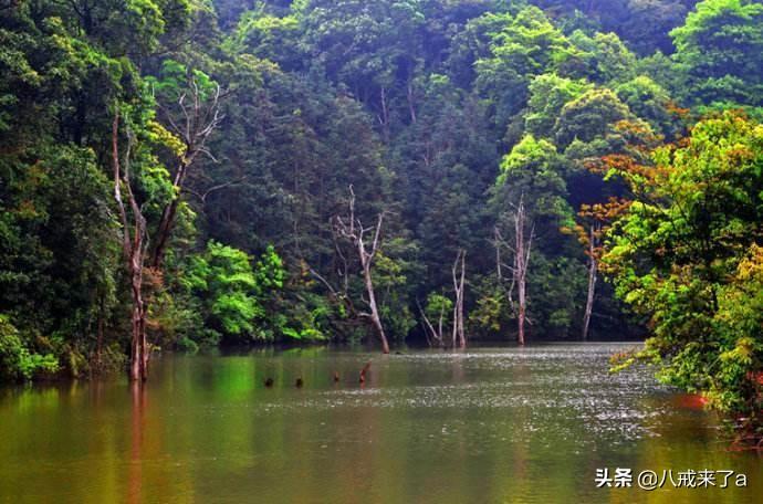 曲江区属于哪个省哪个市(曲江区有多少个乡镇)