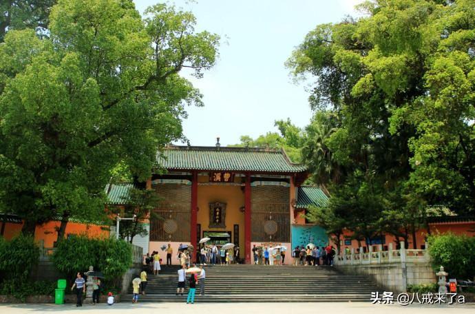 曲江区属于哪个省哪个市(曲江区有多少个乡镇)