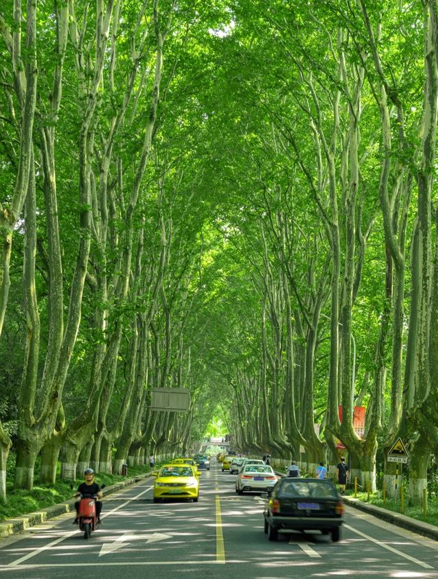 南京轨道交通线路图(南京轨道交通运营)(3)