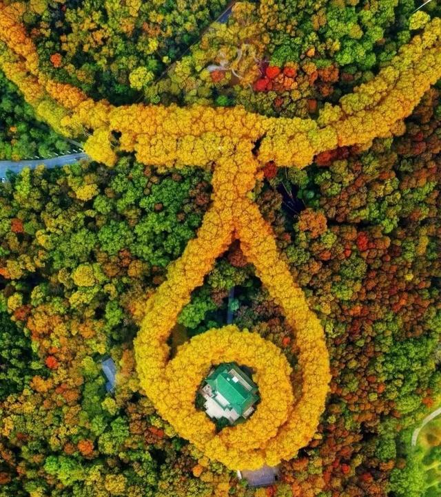 南京轨道交通线路图(南京轨道交通运营)(16)