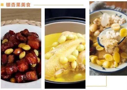 银杏果的正确吃法(如何科学食用银杏果?) 银杏果的正确吃法(如何科学食用银杏果?)