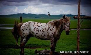 四大古代民间故事（故事古代故事）(1)