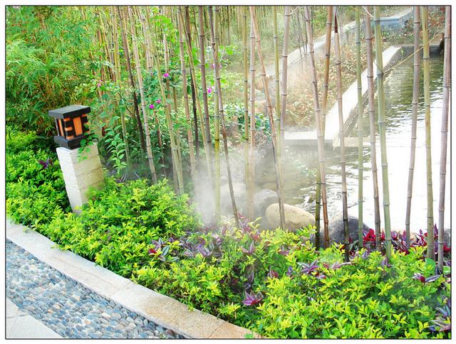 厦门同安旅游攻略全部（厦门同安10莲花镇）(33)