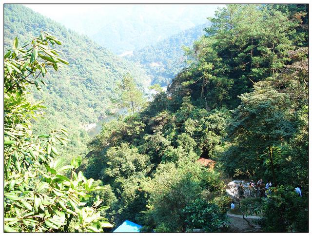 厦门同安旅游攻略全部（厦门同安10莲花镇）(24)