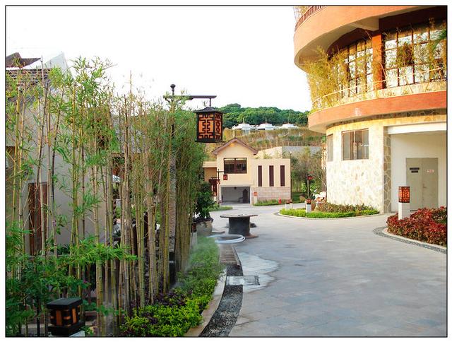 厦门同安旅游攻略全部（厦门同安10莲花镇）(32)