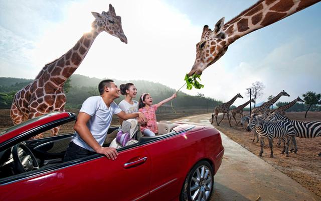 杭州必去景点攻略大全(杭州10个特色必玩景点)(3)