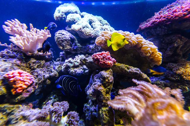 杭州必去景点攻略大全(杭州10个特色必玩景点)(5)