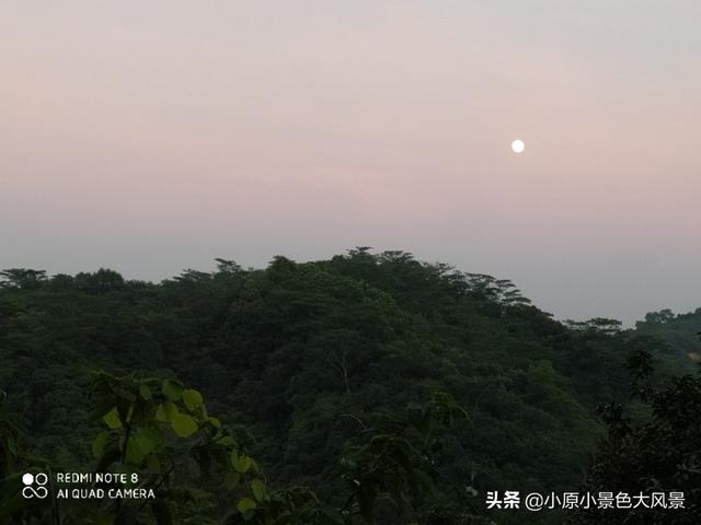 深圳羊台山全景(深圳羊台山风景如画)(12)