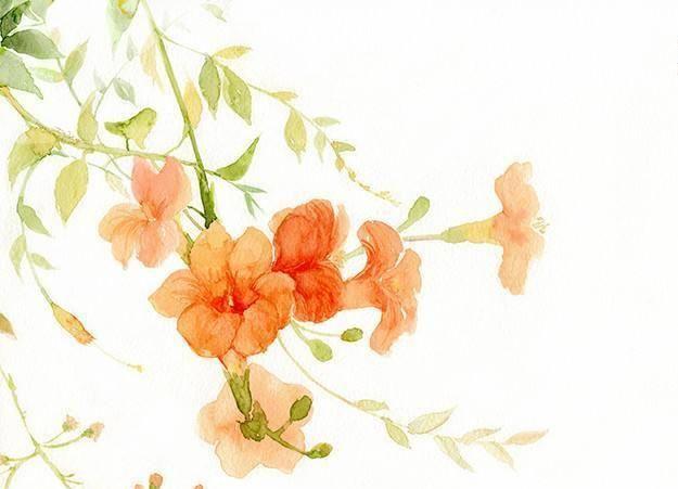 山海经中自带仙气的花草名,用来起名能起出多么优雅的名字?