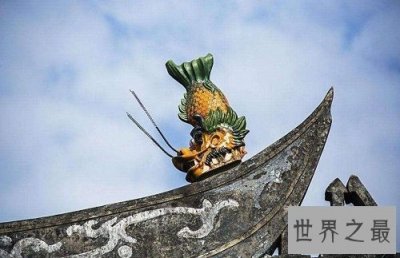 ​鳌鱼是什么鱼？一起来聊聊鳌鱼的故事吧！