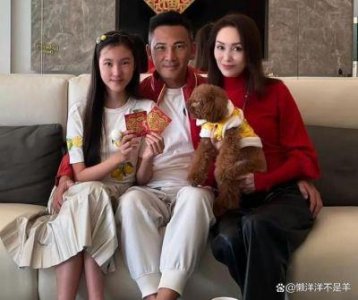 ​54岁郭可盈的逆龄魅力与复杂情感揭秘