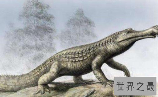 地球最大的鳄鱼,最长13米—屋子都装不下