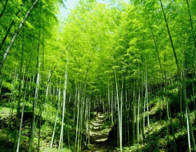 ​安吉景点最好玩的排名