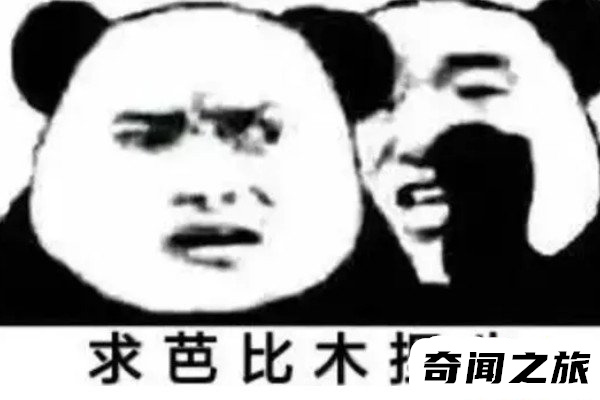 母捏牛什么意思(母捏牛是什么梗)(2)_