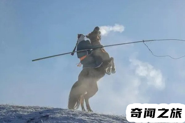 母捏牛什么意思(母捏牛是什么梗)(1)_