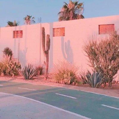 能招财带好运的风景头像