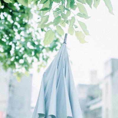 能招财带好运的风景头像