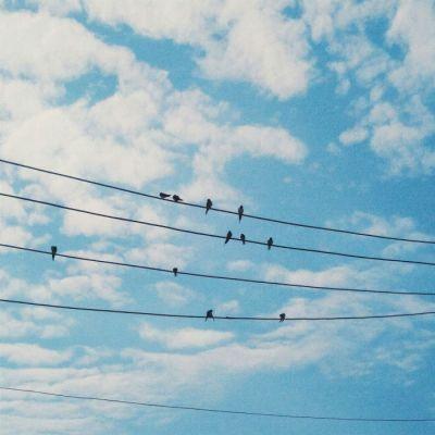 能招财带好运的风景头像