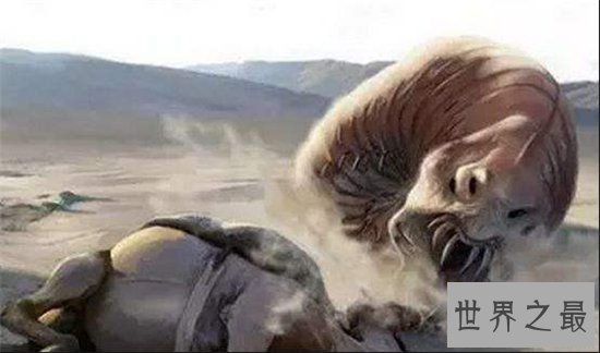 南非海怪浑身长满白毛,根据描述几乎确定是长毛鱼