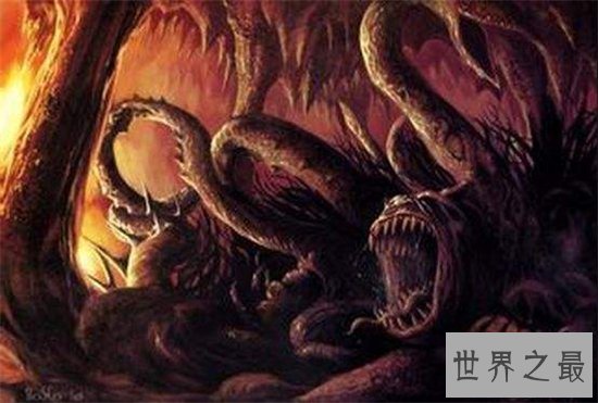 南非海怪浑身长满白毛,根据描述几乎确定是长毛鱼